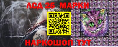 apvp Беслан